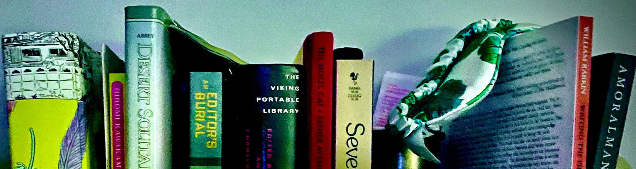 Colorful books filling a shelf